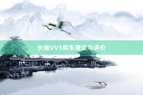 长城VV5购车建议与评价