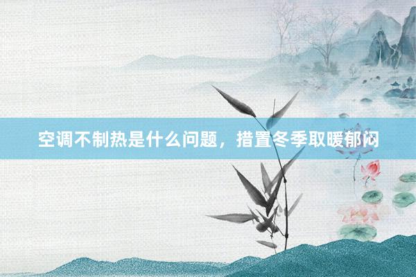 空调不制热是什么问题，措置冬季取暖郁闷